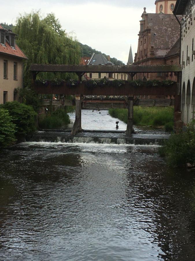 Wohlfuehl-Apartment Ettlingen Bagian luar foto